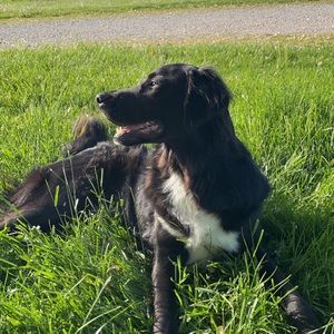 Meet your Posher, Katy